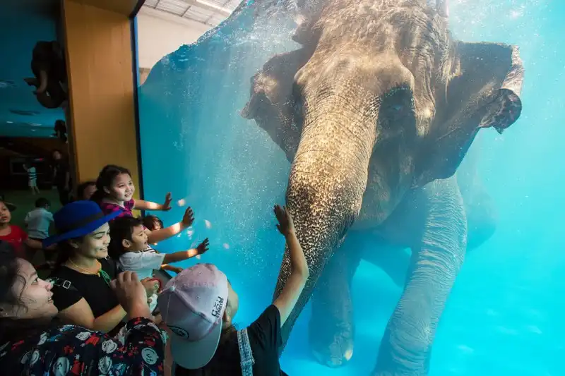 2_Khao Kheow Open Zoo