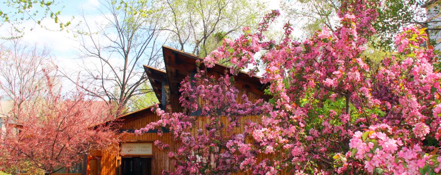 辽宁营口旅游攻略:探寻渤海明珠 品味滨城风情 辽宁营口旅游攻略:探寻渤海明珠 品味滨城风情