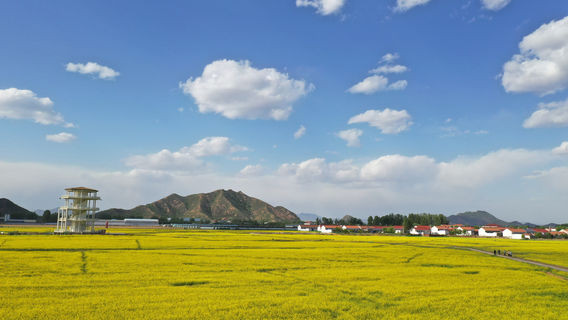 Đôn Hoá