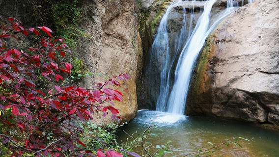 Guyuan