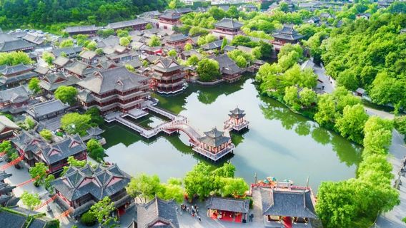 Город Гонконгской Видеомагазина