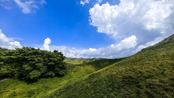 NANSHAN NATIONAL PARK