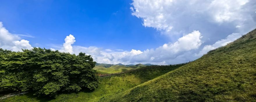 NANSHAN NATIONAL PARK