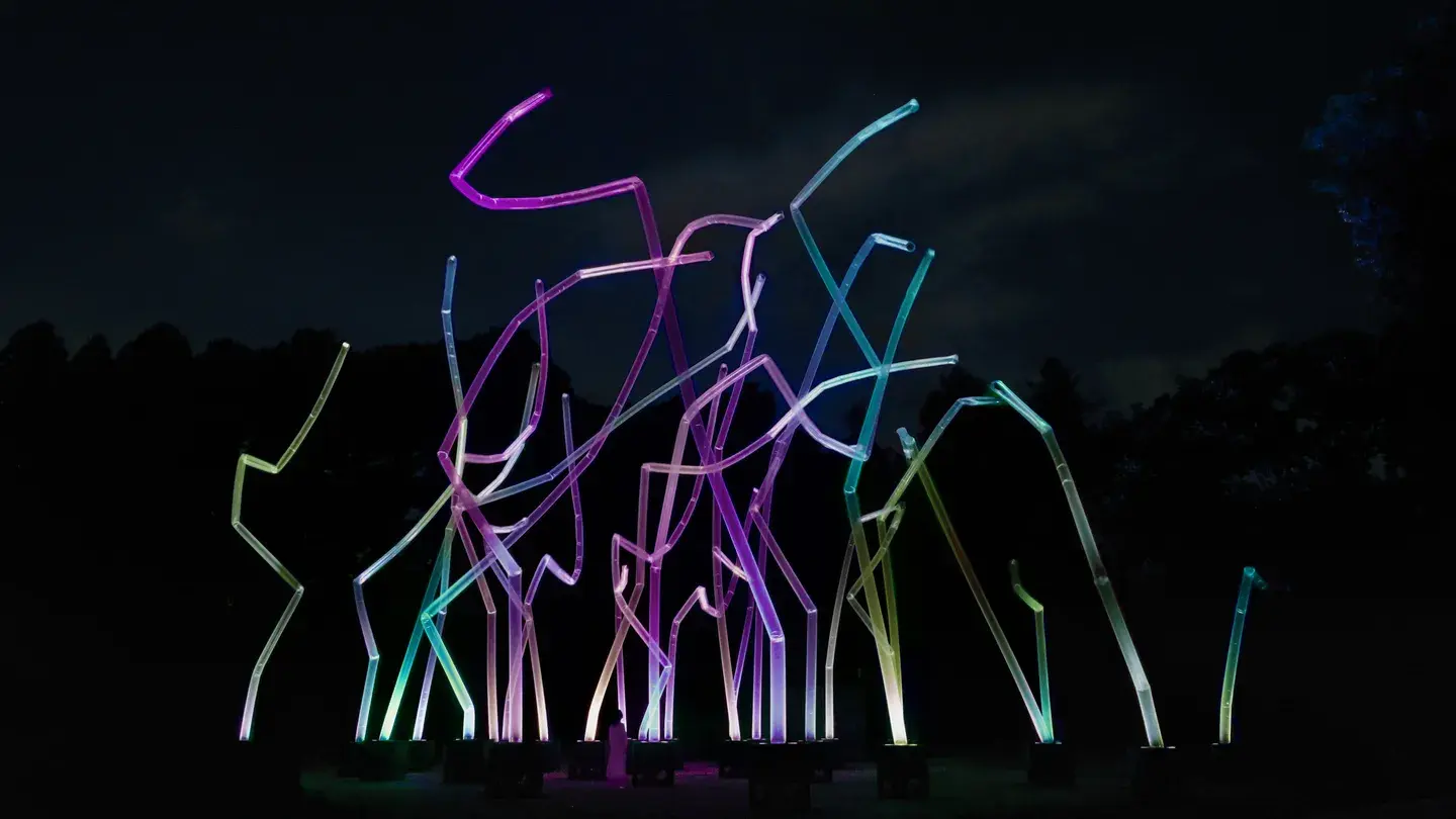 4_teamLab Botanical Garden Osaka