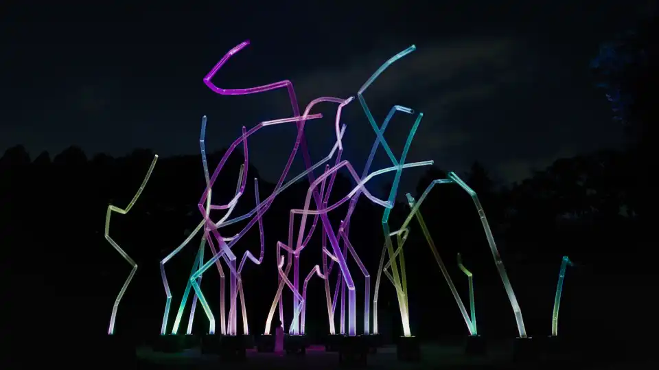 4_teamLab Botanical Garden Osaka