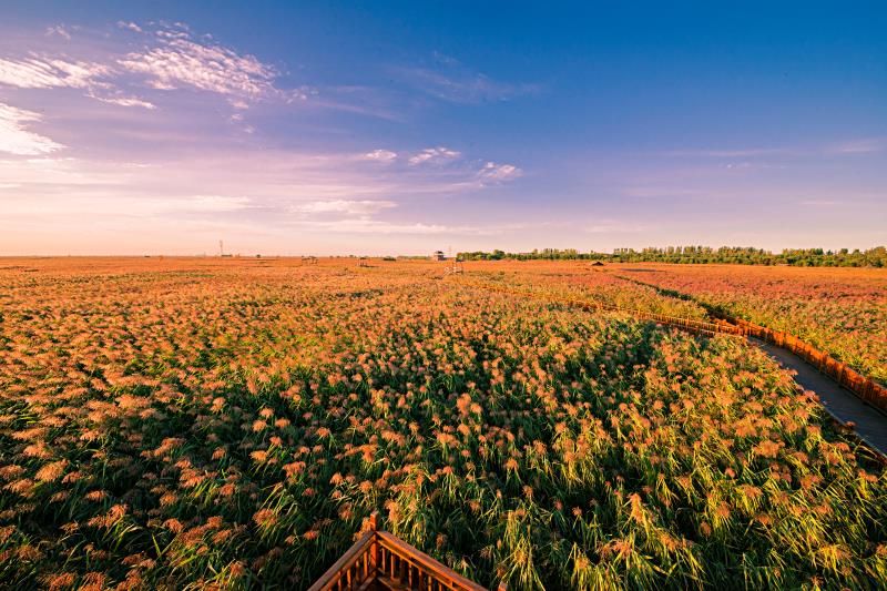 Dingxiang Ecological Tourism Area - Reed Sea Crab Beach