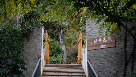 Huaning Elephant Trunk Hot Spring Resort