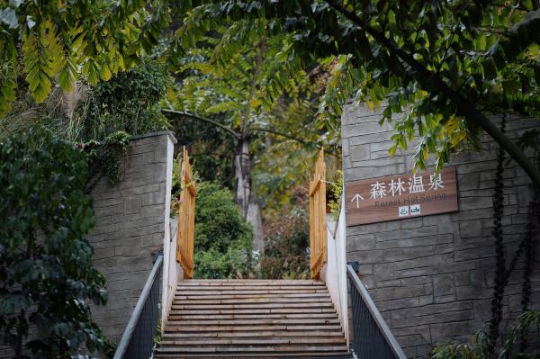 Huaning Elephant Trunk Hot Spring Resort