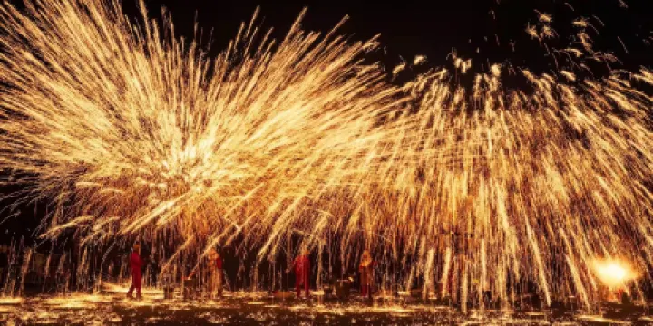 隋唐城遺址植物園