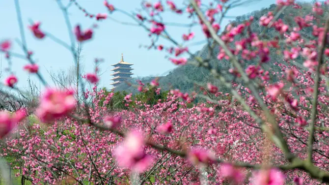 2_牛首山文化旅遊區