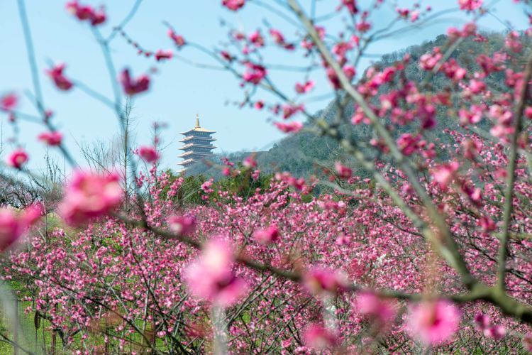 牛首山文化旅遊區