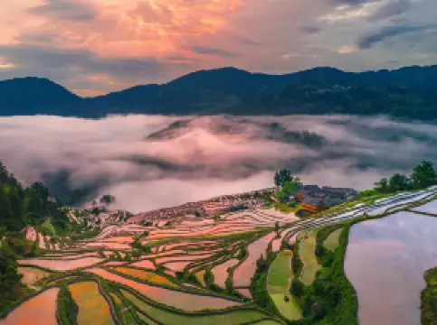 Popular Best Things to Do in Congjiang