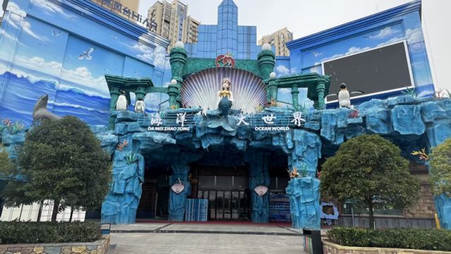 zhao tong hai yang da shi jie