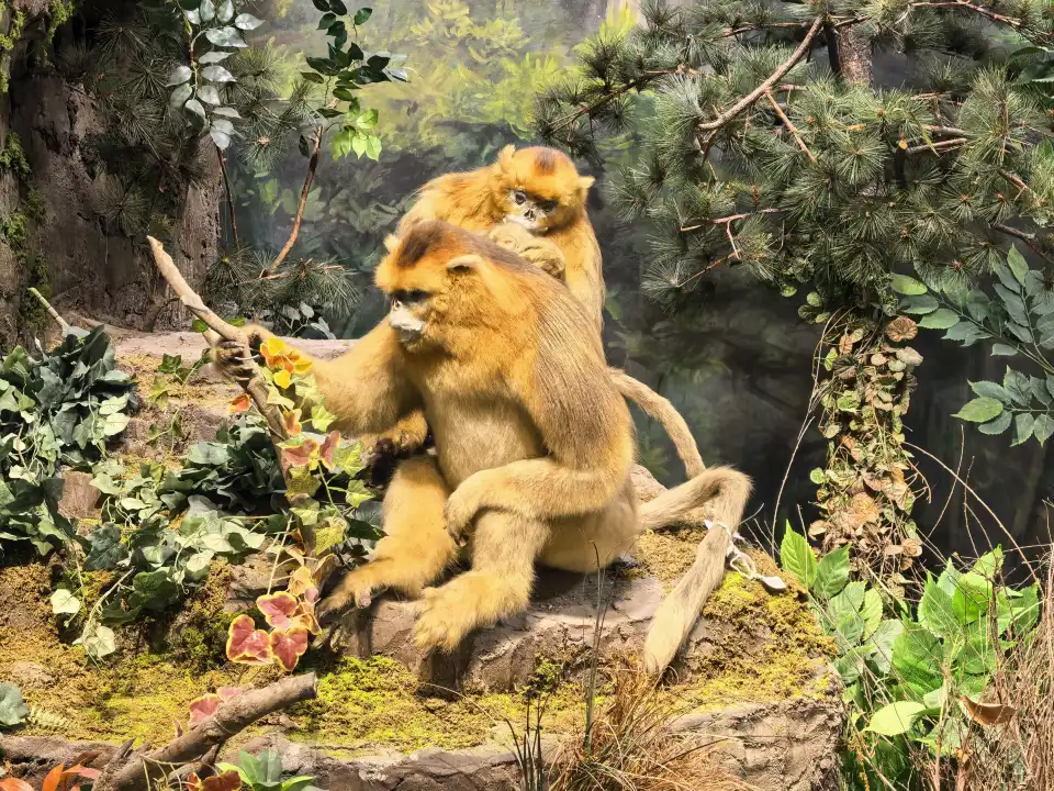 4_Shaanxi Nature Museum