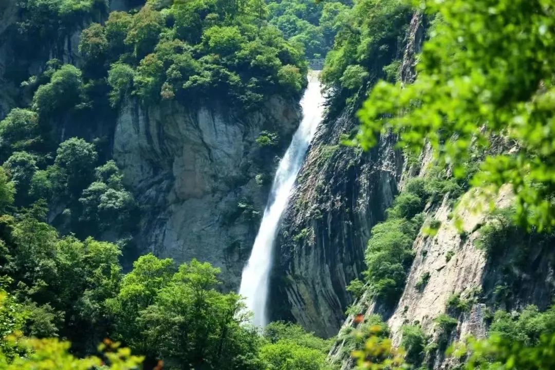 3_太平國家森林公園