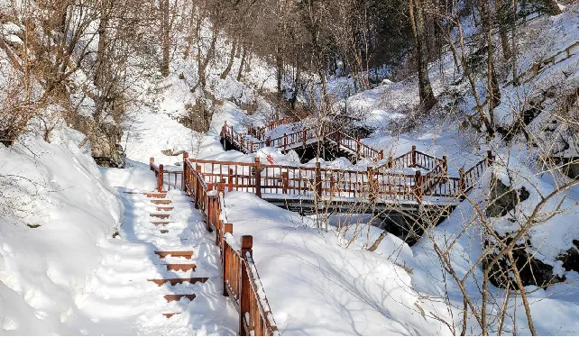 3_威虎山國家森林公園