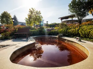 Bloom Hot Spring Town