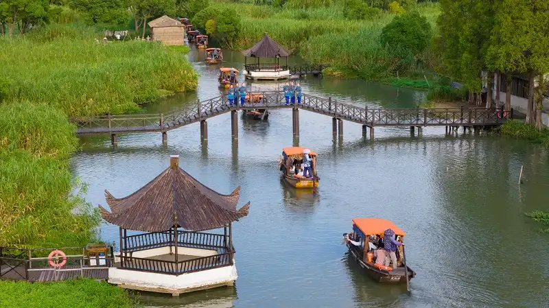 3_Shajiabang Reed Wetland