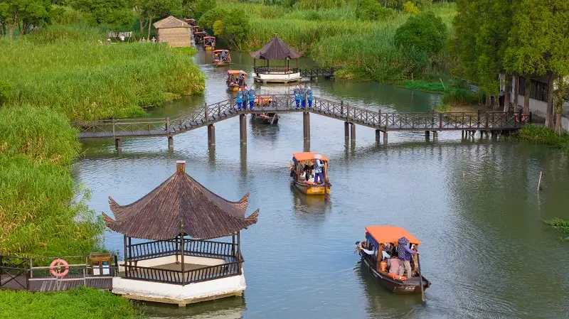 3_Shajiabang Reed Wetland