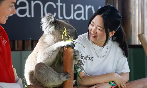 Moonlit Sanctuary Wildlife Conservation Park