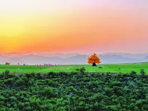Tourist Attraction of Taihang Wuzhi Mountain