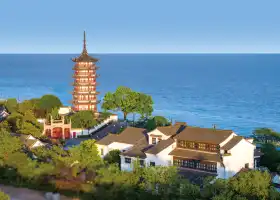 鹽官潮樂之城