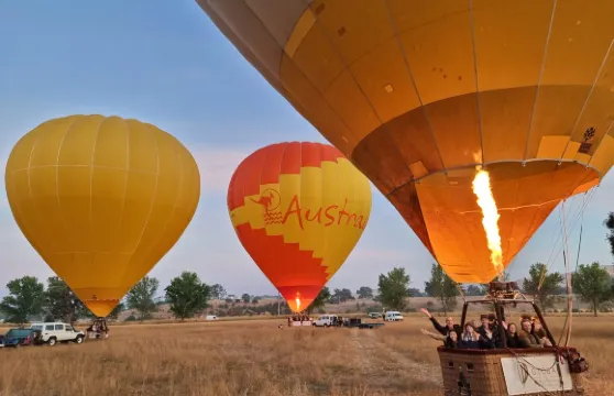 Global Ballooning曼斯菲爾德熱氣球成人