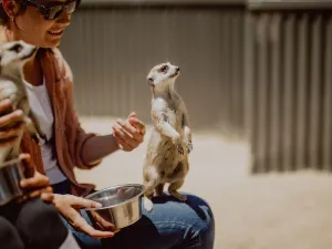 헌터밸리 동물원