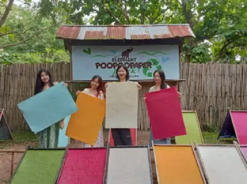 Elephant POOPOOPAPER Park Chiang Mai