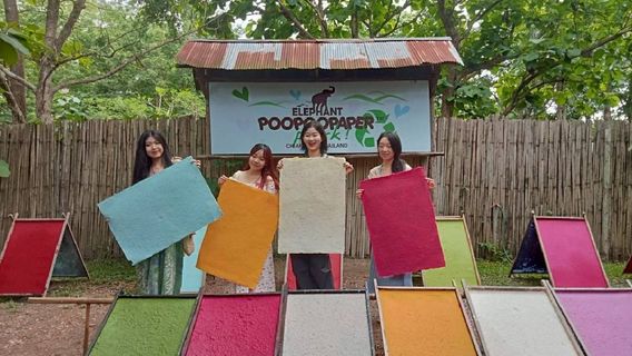 Elephant POOPOOPAPER Park Chiang Mai