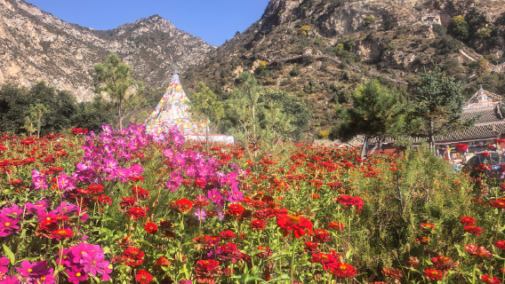 Lama Temple