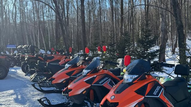 The Bear Tribe in Yabuli