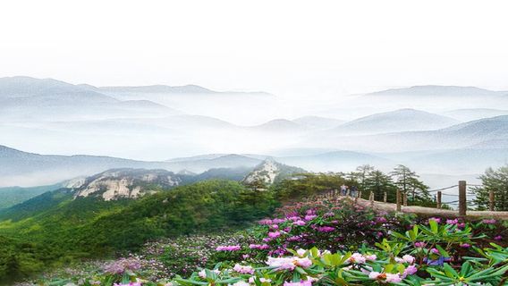 Muwang National Forest Park