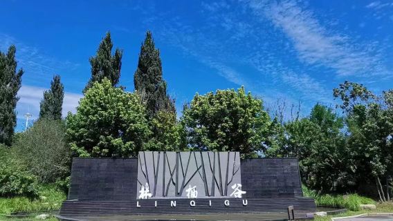 Linqi Valley Forest Health and Wellness Resort