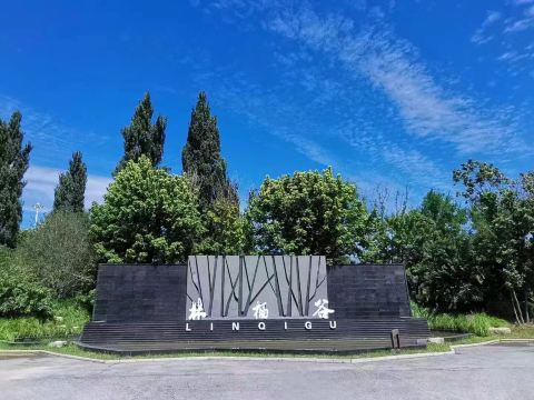 Linqi Valley Forest Health and Wellness Resort