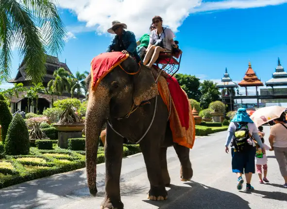 5_Nong Nooch Tropical Garden