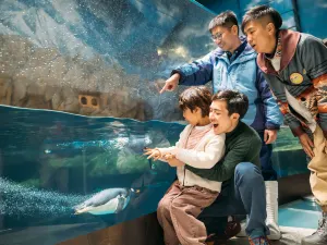 Ocean Park Hong Kong