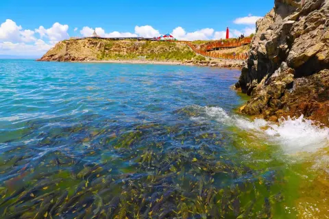 Qinghai Lake The Holy Spring Bay (Cliff)