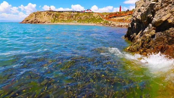 Qinghai Lake Holy Spring Bay (Cliff)