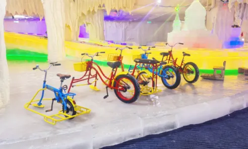 Central Street Colorful Ice Sculpture World