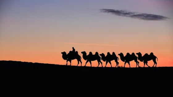 白沙山沙漠景區