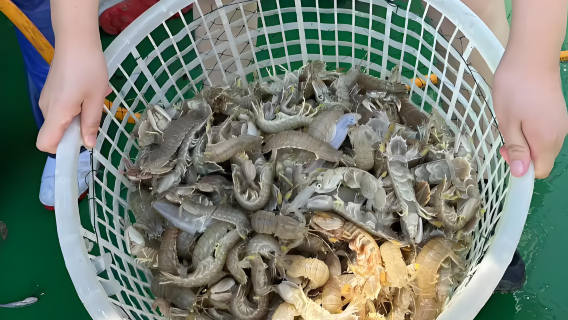 Huanghua Port tourist boat goes out to sea for fishing