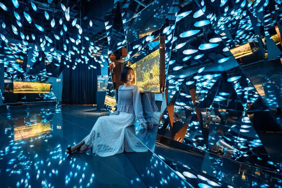 2_AQUARIUM×ART átoa
