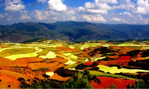 Dongchuan Red Land