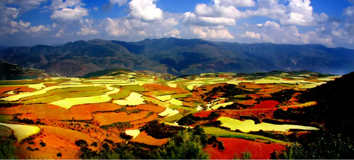 Hotel in zona Dongchuan Red Land