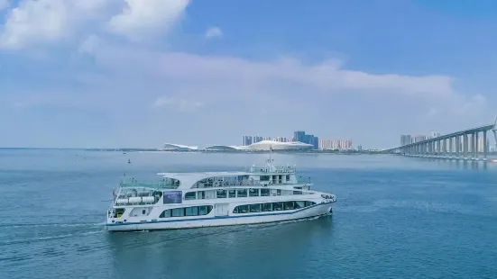 Zhanjiang Black-headed Gull Cruise