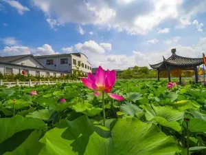 Yanghe Distillery Cultural Tourism Area