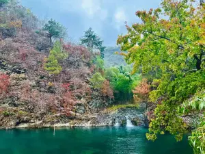 Yangmingshan National Forest Park