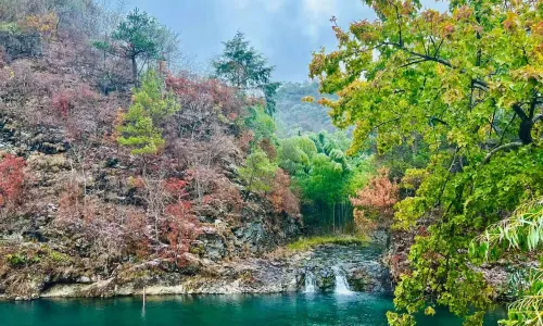 Yangmingshan National Forest Park