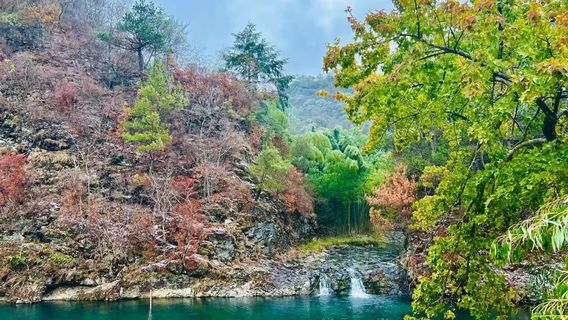 陽明山國家森林公園